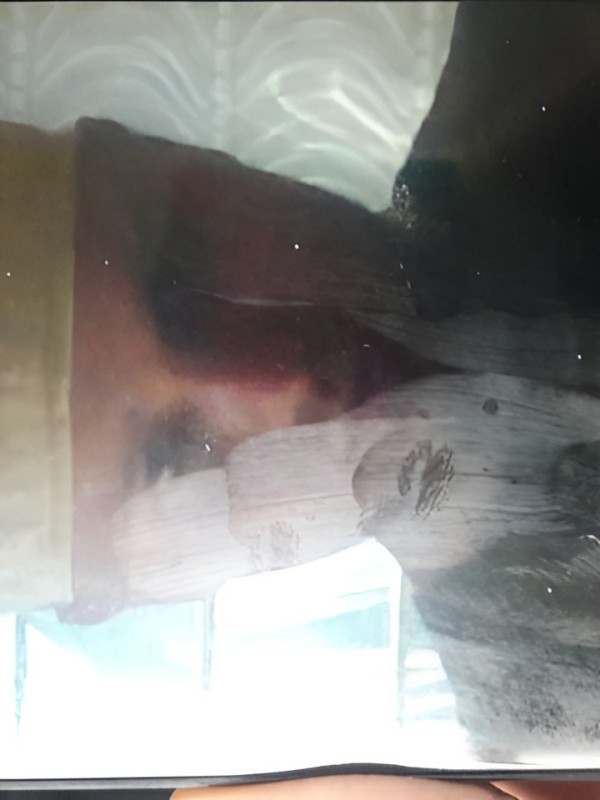 Тамара привлекательная девушка из Ленинска-кузнецкого цена от 1500 руб